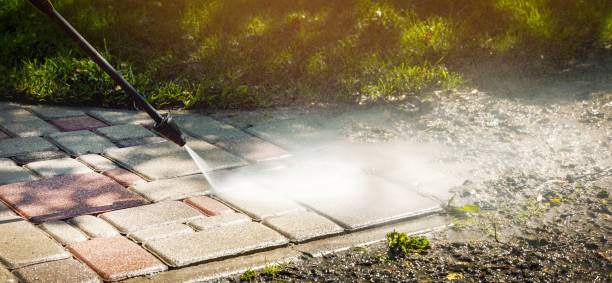 Best Roof Washing  in Nevada City, CA
